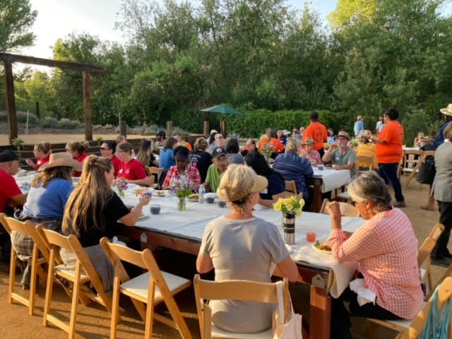 A view of San Timoteo canyon - a train chugs through Old Grove Orange's groves