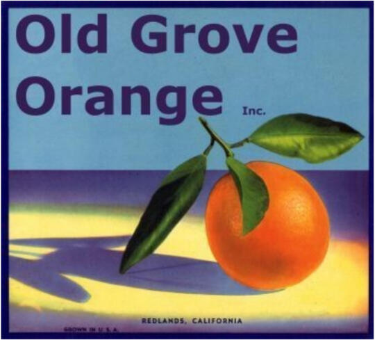 Old Grove Orange logo